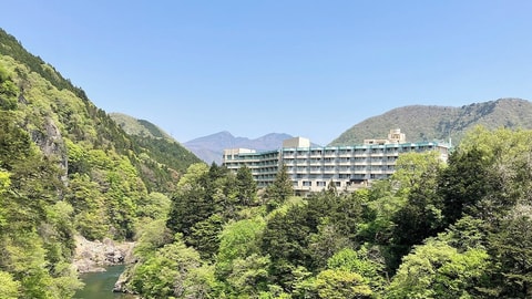 Primary image