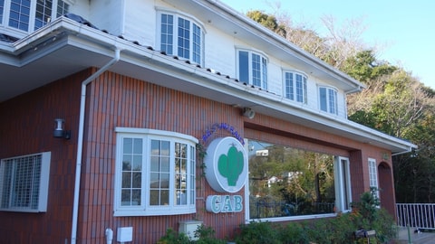 Primary image