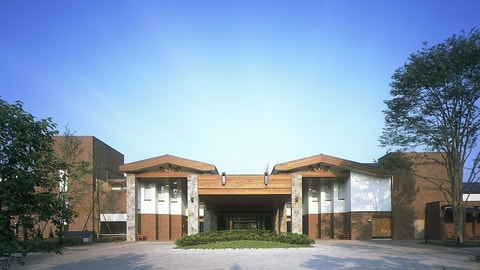 Primary image