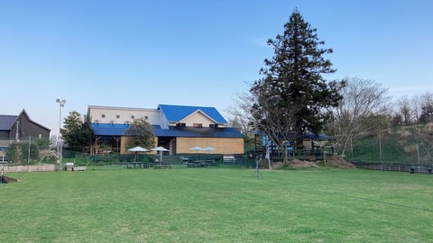 Primary image