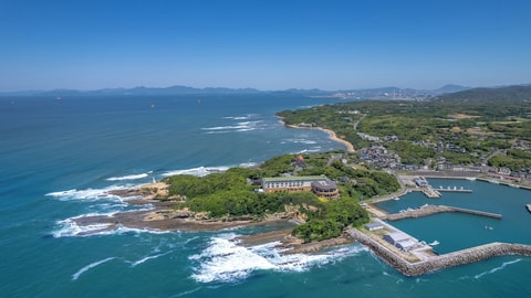 Primary image