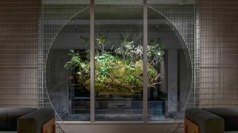 Primary image
