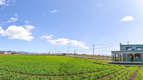 Primary image