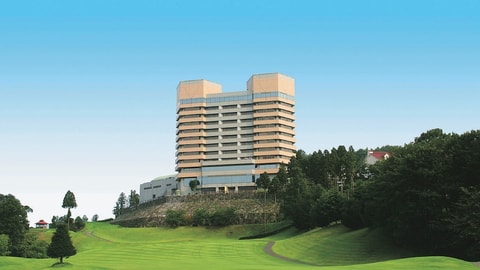 Primary image