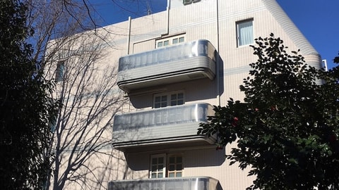 Primary image