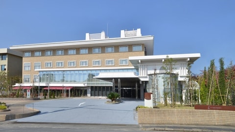 Primary image