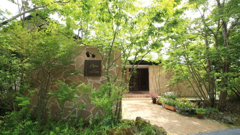 Primary image