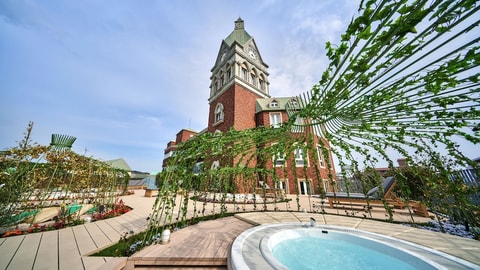 Primary image