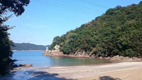Primary image