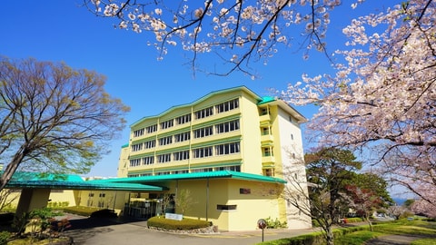 Primary image