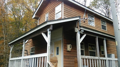 Primary image