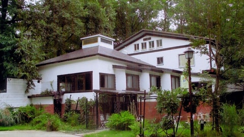 Primary image