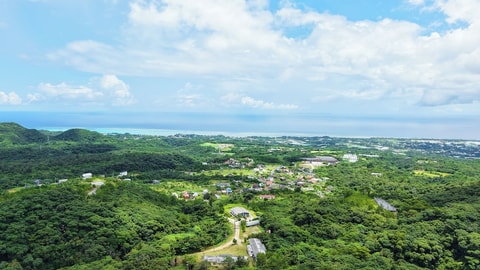 Primary image