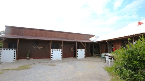 Primary image
