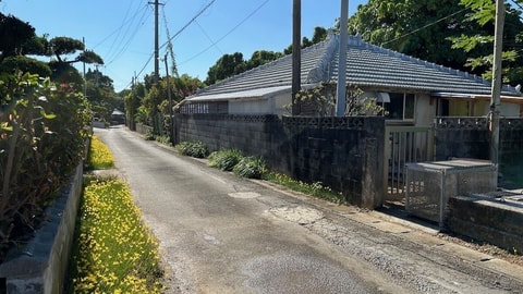 Primary image