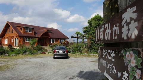 Primary image