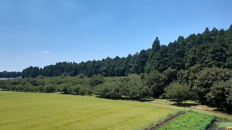 客房