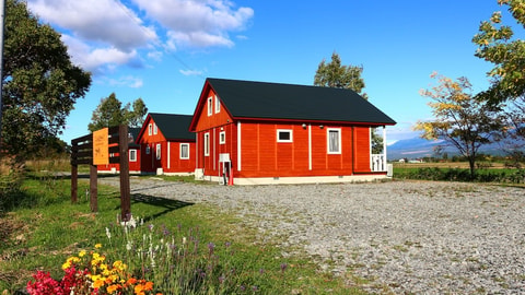 Primary image