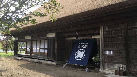 Primary image