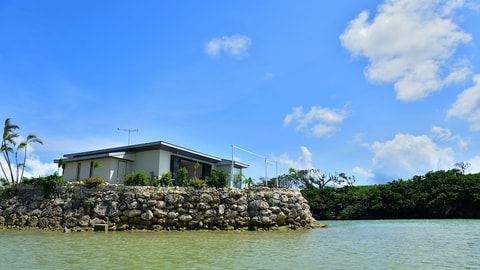 Primary image