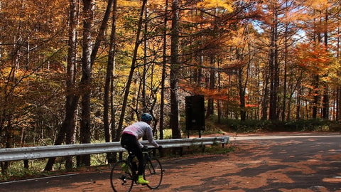 Bicycling