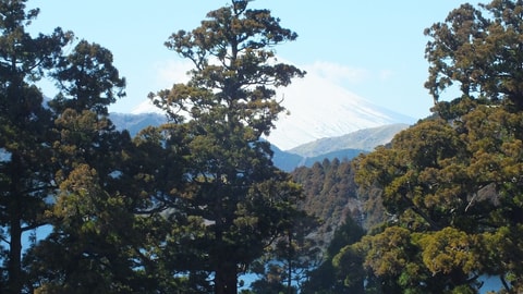 Primary image