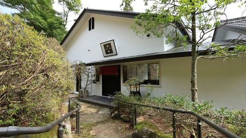Primary image