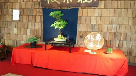Primary image