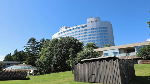Primary image