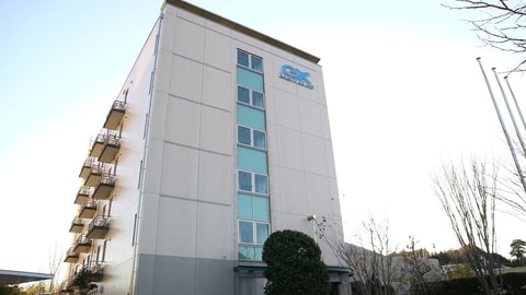 Primary image