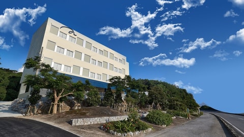 Primary image