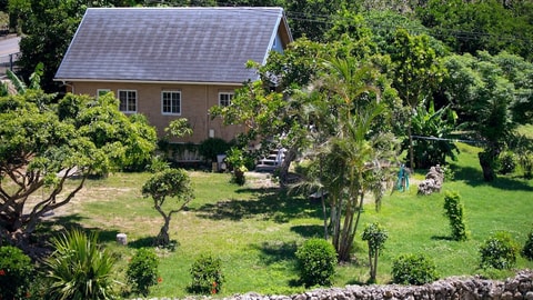 Primary image