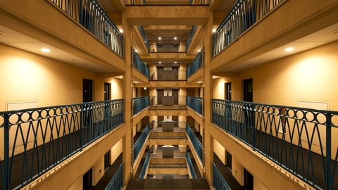 Primary image