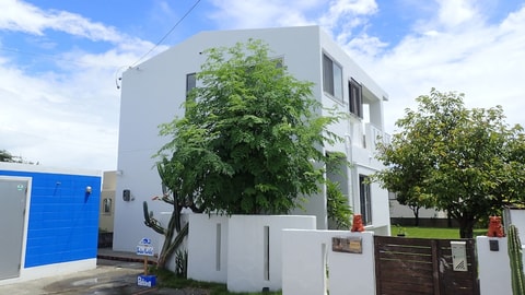Primary image