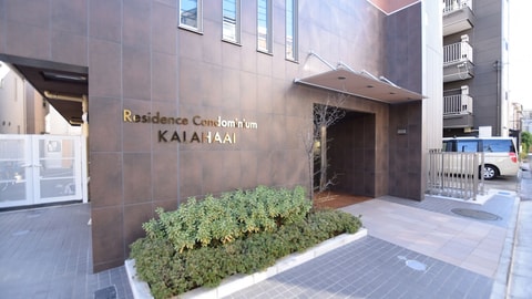 Primary image