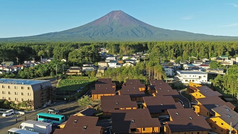 Primary image