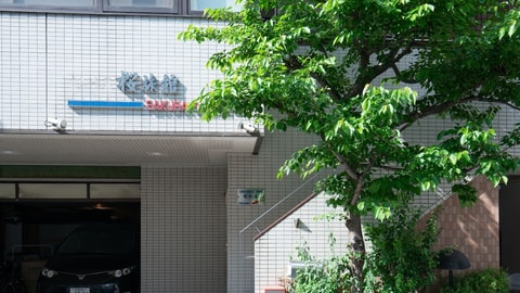 Primary image