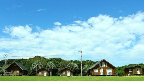 Primary image