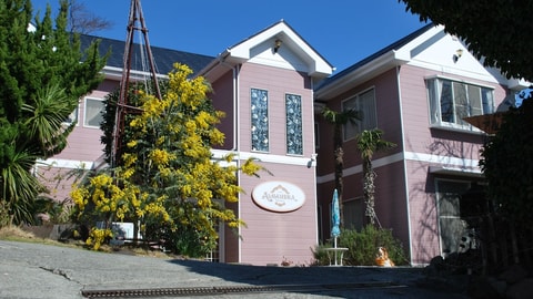 Primary image