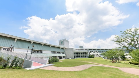 Primary image
