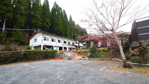 Primary image