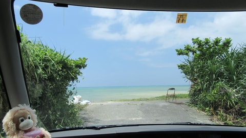 Primary image