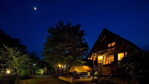 Primary image