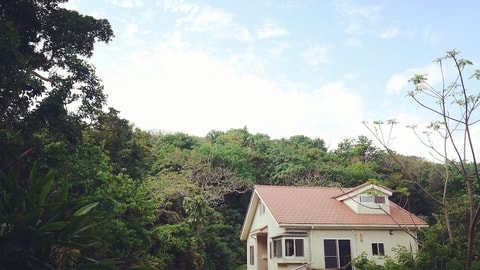 Primary image