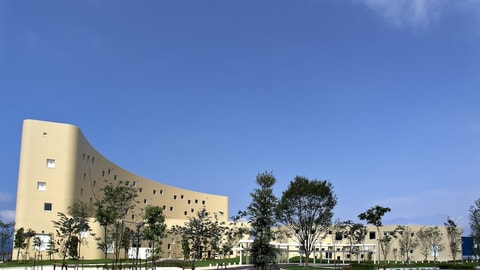 Primary image