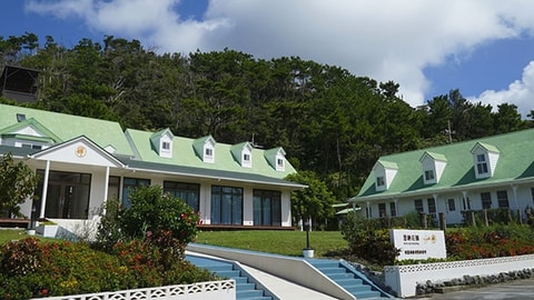 Primary image