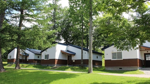 Primary image