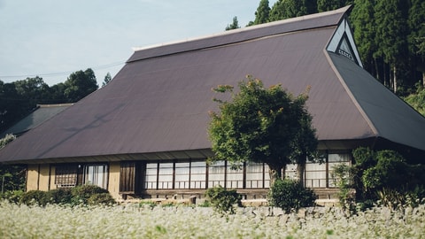 Primary image