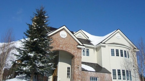 Primary image