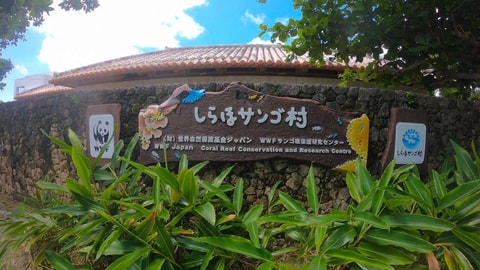 徒步